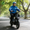 Best Cost-Performance And Worldwide Top Selling Electric Delivery Scooter Electric Delivery Bicycle 