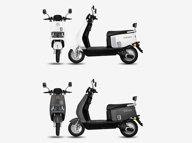 OEM Logo Electric Scooter