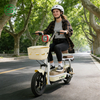 Wallet-Safe, Ride-Proof Electric Scooter Electric Bicycle