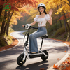 The Best Most Cheapest Small Electric Scooter Small Electric Bicycle