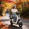  Save Money, Ride Better Electric Scooter Electric Bicycle 