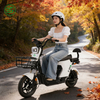 Pocket-Smart, Silky Glide Electric Scooter with Lithium Battery Electric Bicycle with Lithium Battery