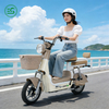 Low Spend, Grand Ride Electric Scooter Electric Bicycle