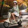 Big Value, Small Cost Electric Scooter Electric Bicycle