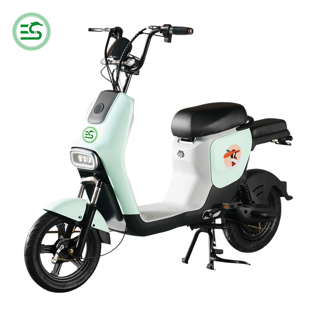 Affordable Rides, Endless Miles Electric Scooter Electric Bicycle