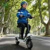 Pocket-Saving, Perfect Riding Small Electric Scooter Small Electric Bicycle