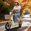 Low Tariff, High Caliber Electric Scooter Electric Bicycle