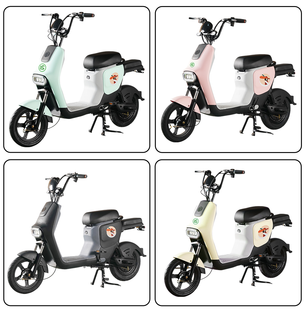 Lithium-Powered Electric Bicycle