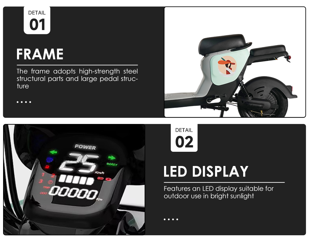 Lithium-Powered Electric Bicycle